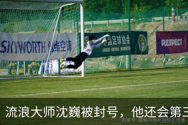 流浪大师沈巍被封号，他还会第三次复出么？